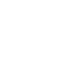 S2H