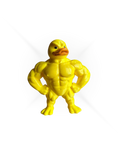 The Yellow Muscle Duck.