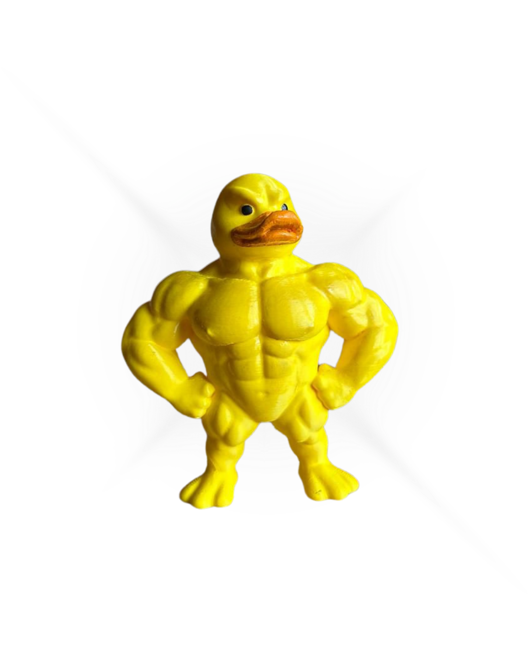 The Yellow Muscle Duck.