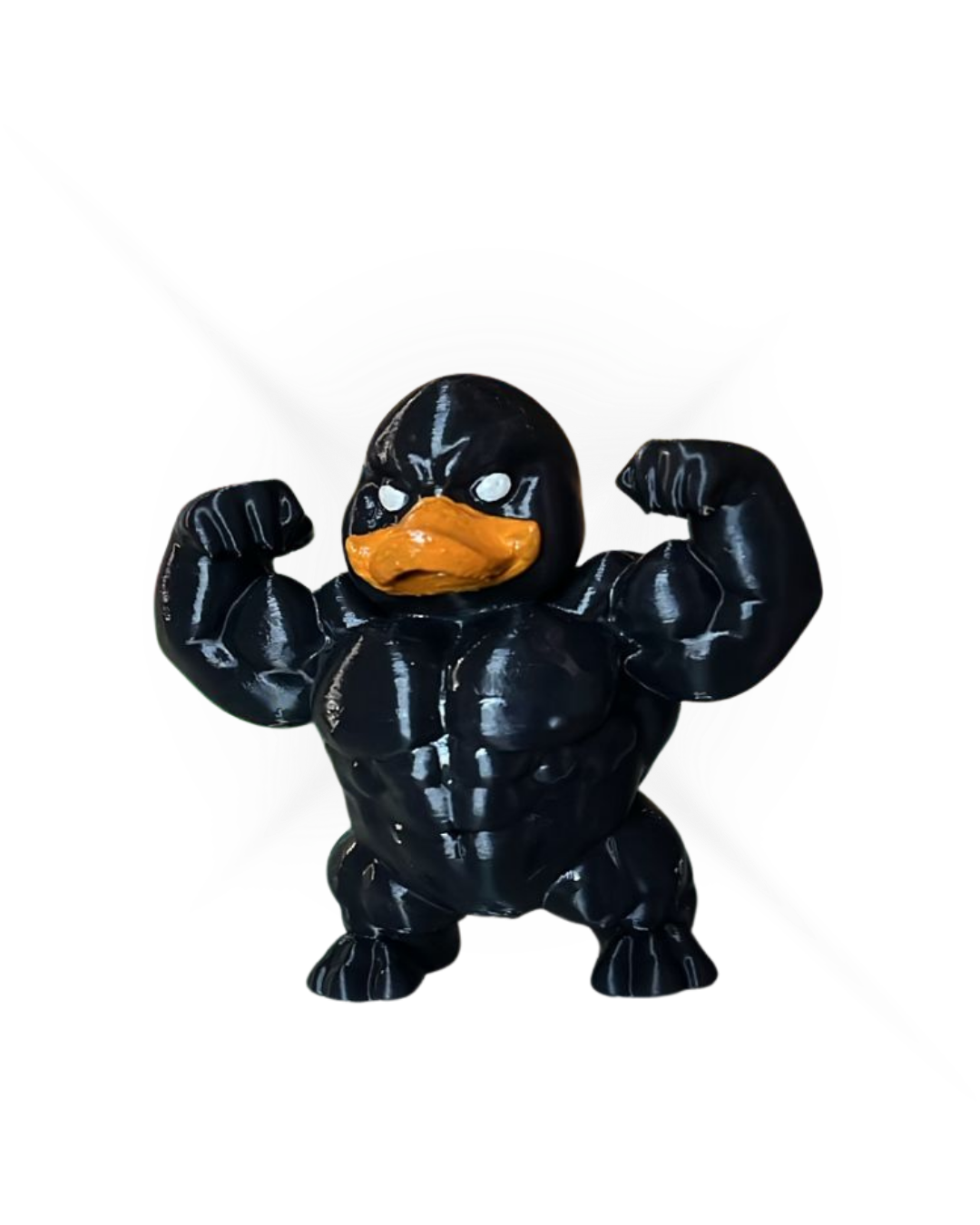 The Black Muscle Duck.