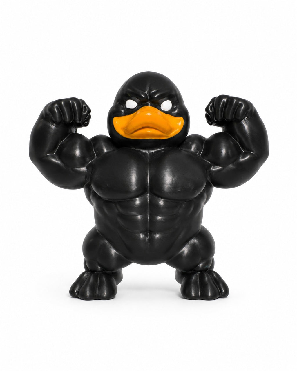 The Black Muscle Duck.
