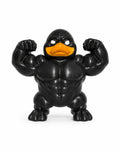 The Black Muscle Duck.