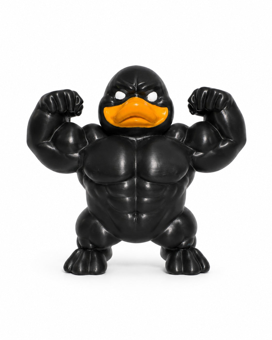 The Black Muscle Duck.