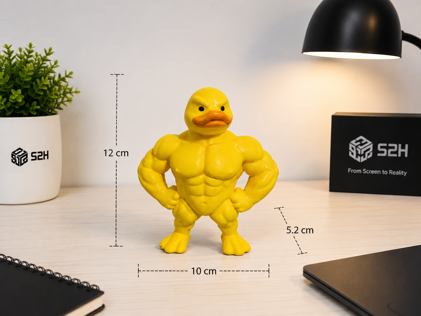 The Yellow Muscle Duck.