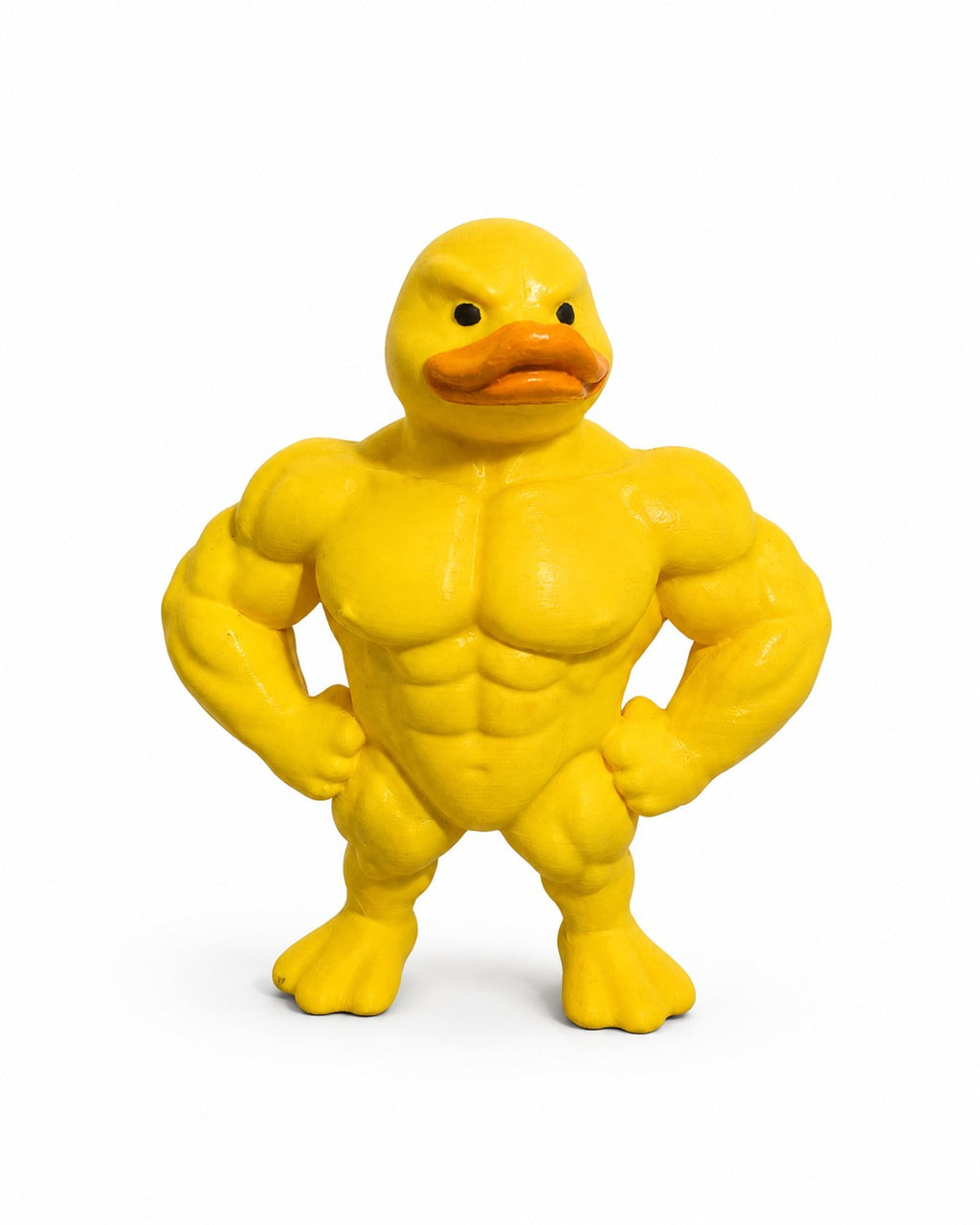 The Yellow Muscle Duck.